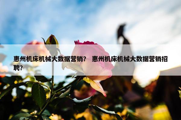 惠州机床机械大数据营销？ 惠州机床机械大数据营销招聘？