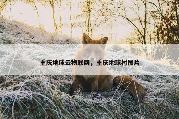 重庆地球云物联网，重庆地球村图片