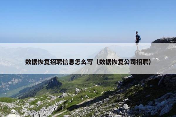 数据恢复招聘信息怎么写（数据恢复公司招聘）