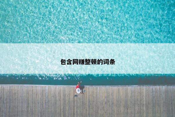 包含网赚整顿的词条