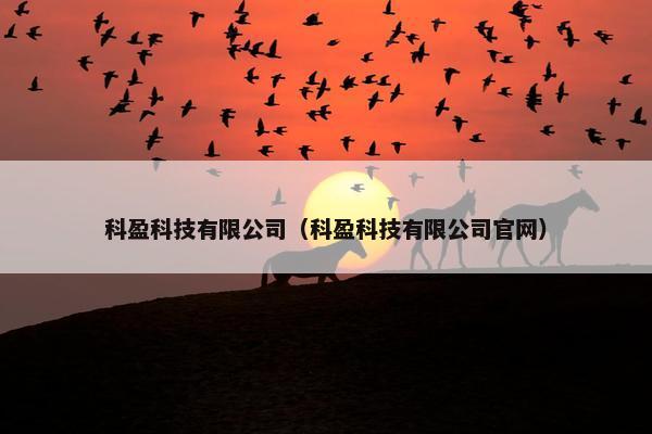 科盈科技有限公司（科盈科技有限公司官网）