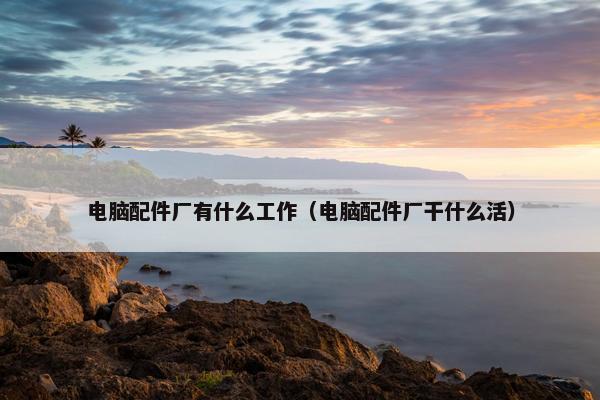 电脑配件厂有什么工作（电脑配件厂干什么活）