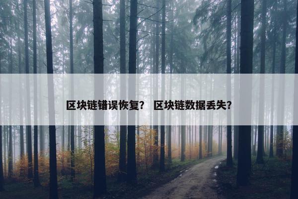 区块链错误恢复？ 区块链数据丢失？