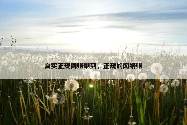 真实正规网赚刷到，正规的网络赚