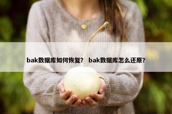 bak数据库如何恢复？ bak数据库怎么还原？
