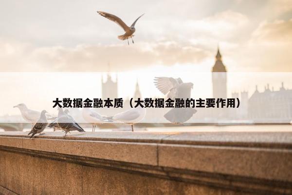 大数据金融本质（大数据金融的主要作用）