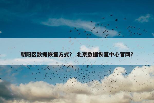 朝阳区数据恢复方式？ 北京数据恢复中心官网？