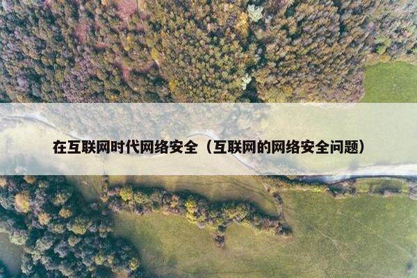 在互联网时代网络安全（互联网的网络安全问题）
