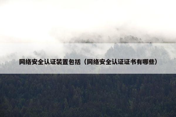 网络安全认证装置包括（网络安全认证证书有哪些）