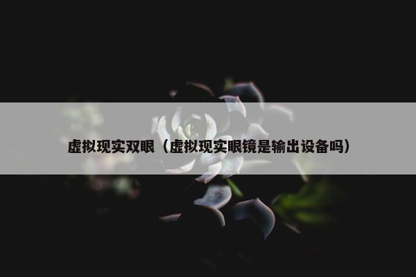 虚拟现实双眼（虚拟现实眼镜是输出设备吗）