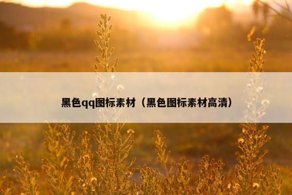 黑色qq图标素材（黑色图标素材高清）