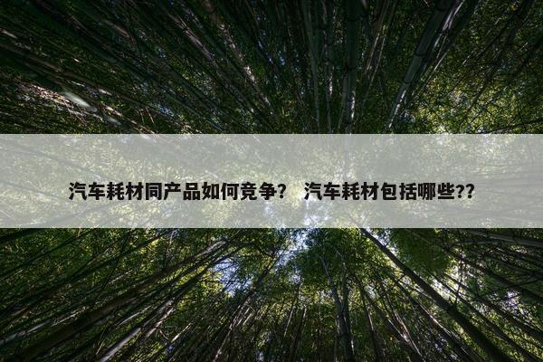 汽车耗材同产品如何竞争？ 汽车耗材包括哪些?？