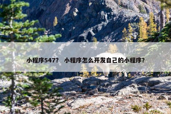小程序547？ 小程序怎么开发自己的小程序？