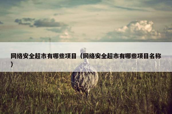 网络安全超市有哪些项目（网络安全超市有哪些项目名称）