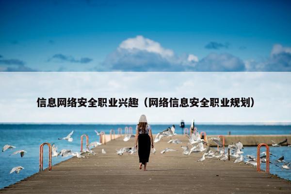 信息网络安全职业兴趣（网络信息安全职业规划）