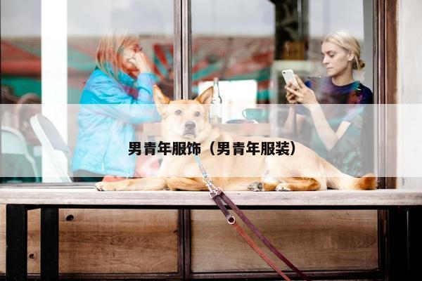 男青年服饰（男青年服装）