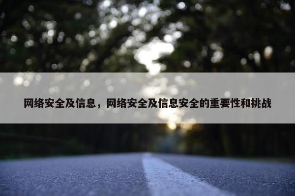 网络安全及信息，网络安全及信息安全的重要性和挑战