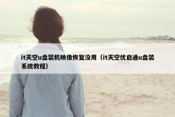 it天空u盘装机映像恢复没用（it天空优启通u盘装系统教程）