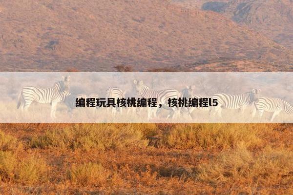 编程玩具核桃编程，核桃编程l5