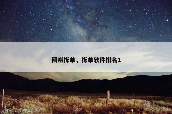 网赚拆单，拆单软件排名1