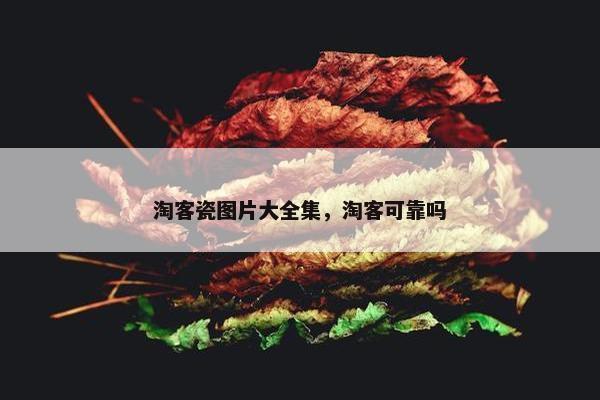 淘客瓷图片大全集，淘客可靠吗