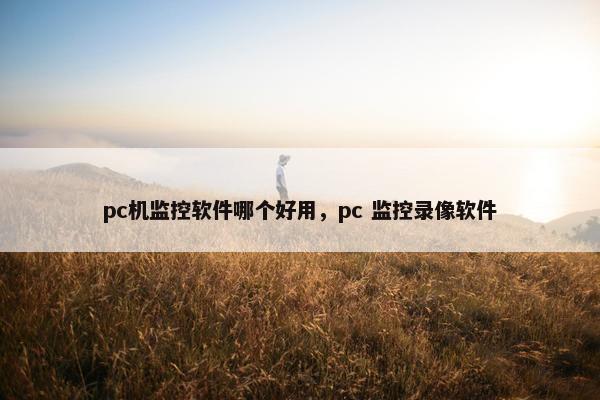 pc机监控软件哪个好用，pc 监控录像软件