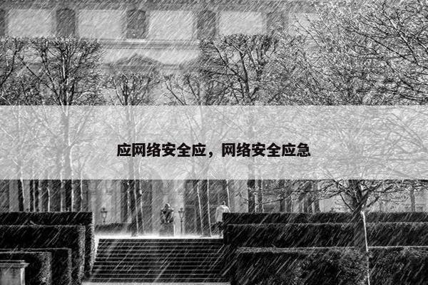 应网络安全应，网络安全应急