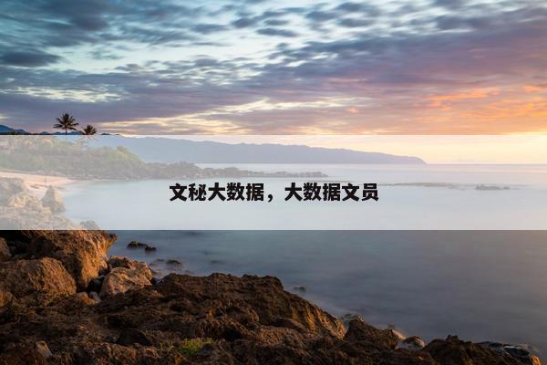 文秘大数据，大数据文员
