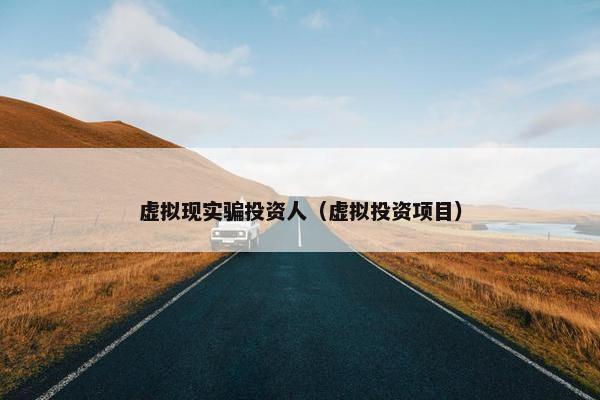 虚拟现实骗投资人（虚拟投资项目）