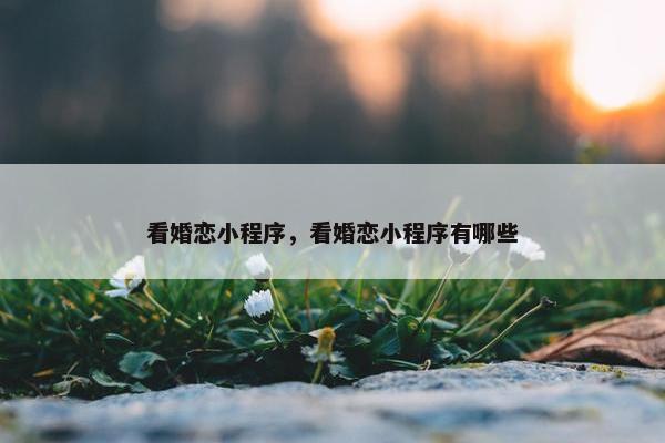 看婚恋小程序，看婚恋小程序有哪些