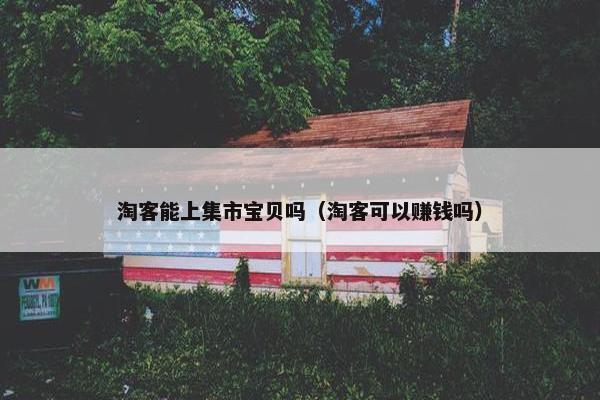 淘客能上集市宝贝吗（淘客可以赚钱吗）