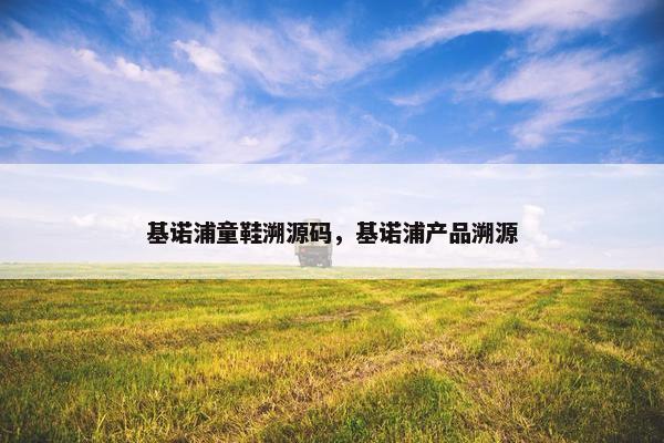 基诺浦童鞋溯源码，基诺浦产品溯源