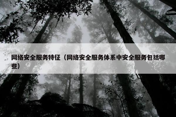 网络安全服务特征（网络安全服务体系中安全服务包括哪些）