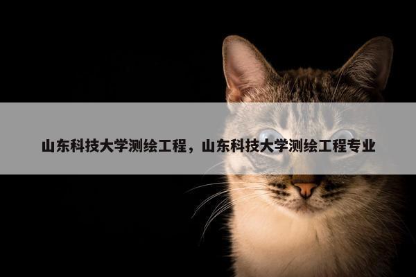山东科技大学测绘工程，山东科技大学测绘工程专业