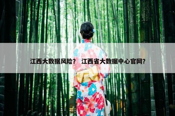 江西大数据风险？ 江西省大数据中心官网？