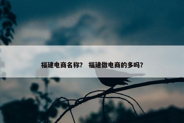 福建电商名称？ 福建做电商的多吗？