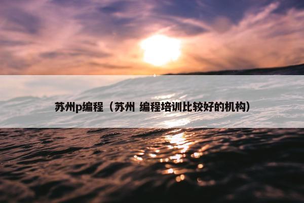 苏州p编程（苏州 编程培训比较好的机构）