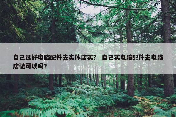自己选好电脑配件去实体店买？ 自己买电脑配件去电脑店装可以吗？