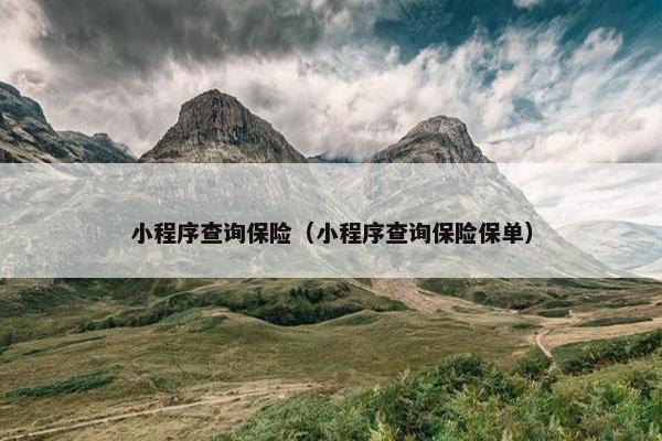 小程序查询保险（小程序查询保险保单）