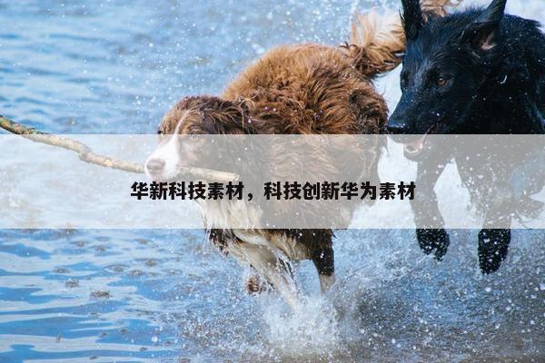 华新科技素材，科技创新华为素材