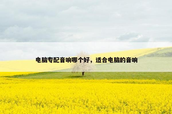 电脑专配音响哪个好，适合电脑的音响