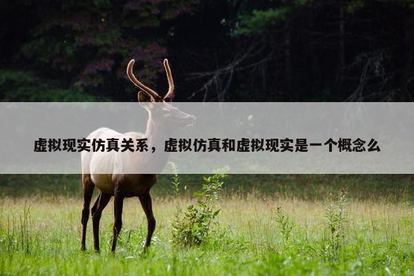 虚拟现实仿真关系，虚拟仿真和虚拟现实是一个概念么