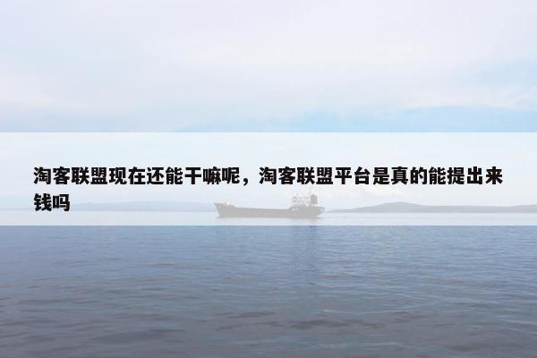 淘客联盟现在还能干嘛呢，淘客联盟平台是真的能提出来钱吗