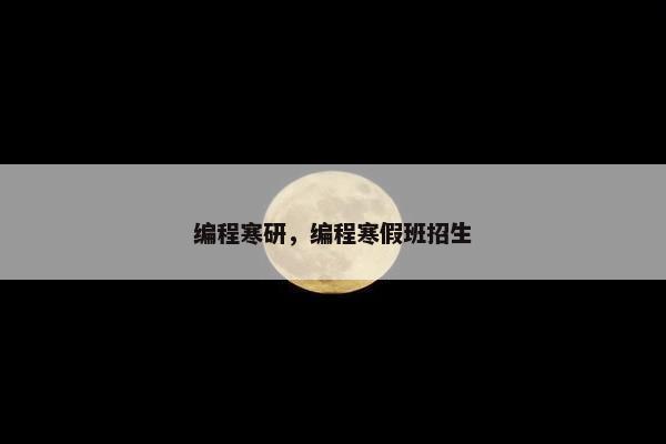 编程寒研，编程寒假班招生