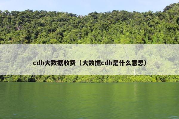 cdh大数据收费（大数据cdh是什么意思）