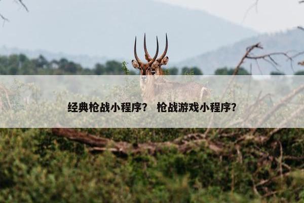 经典枪战小程序？ 枪战游戏小程序？