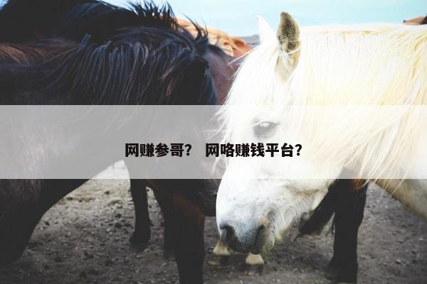 网赚参哥？ 网咯赚钱平台？