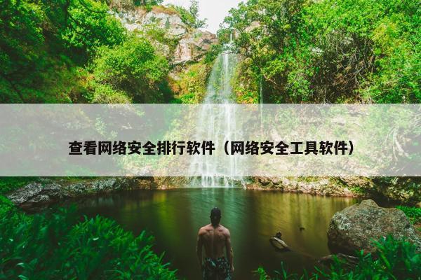 查看网络安全排行软件（网络安全工具软件）