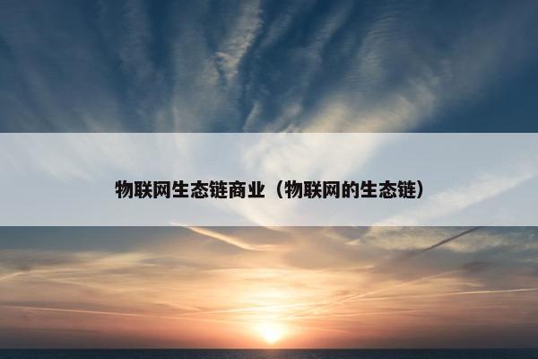 物联网生态链商业（物联网的生态链）