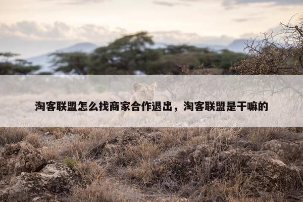 淘客联盟怎么找商家合作退出，淘客联盟是干嘛的